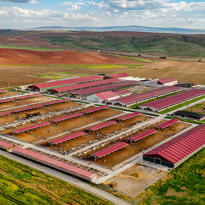 Bala Tarım - Image 2