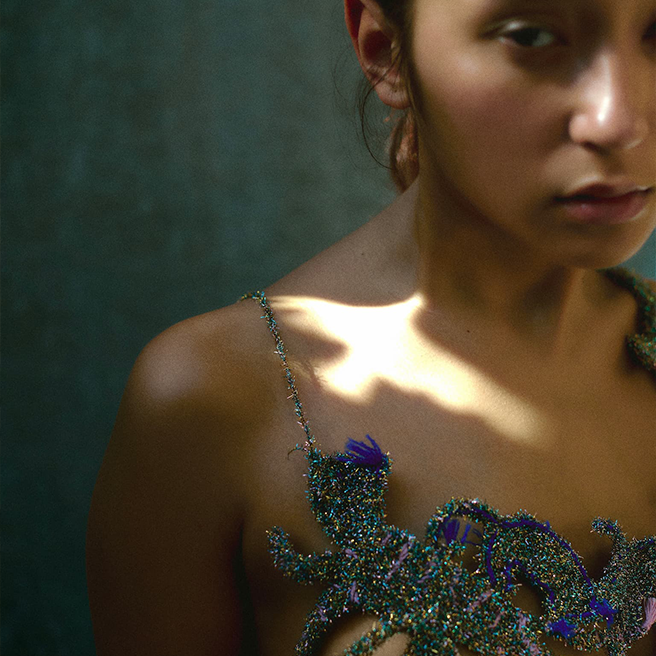 Chambre De Fan - Image 1